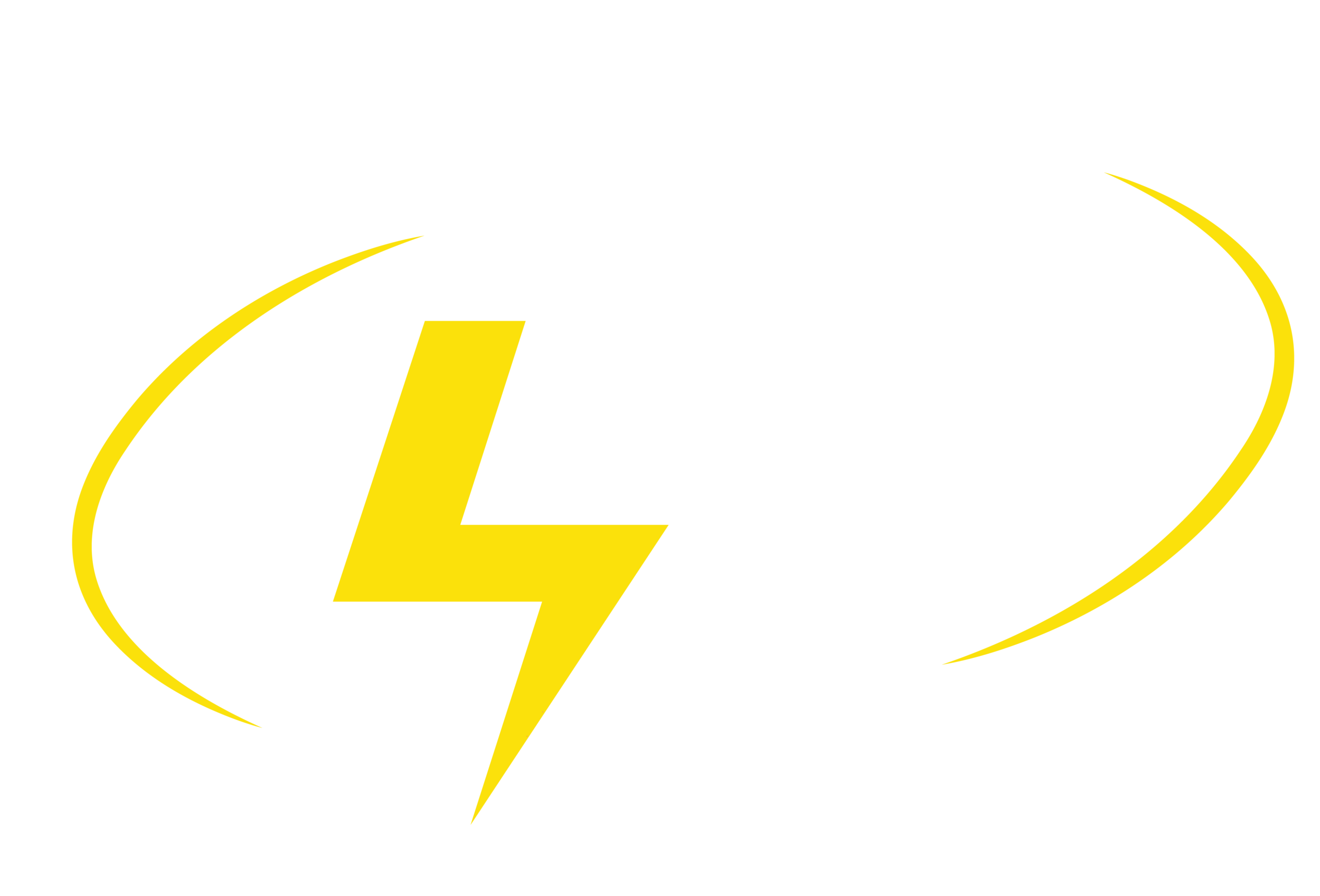 Holstein Electric
